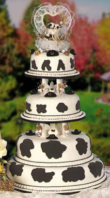 Cow Cake toppers
