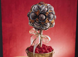 Chocolate Truffles Topiary